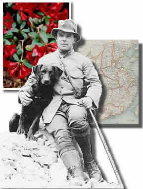 George Forrest with one of his favourite dogs circa 1910's
