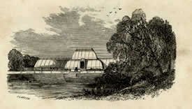 From the cover of Cutis' Botanical Magazine 1865 depicting the Palm House at Kew