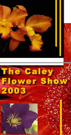 Caley Flower Show 2003