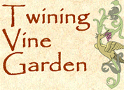 Twining Vine Seed Store